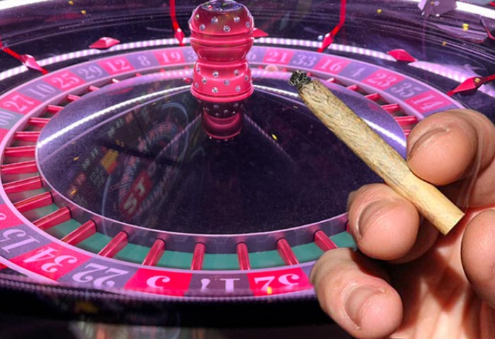 The Reef Pivots đến casino cần sa trong bối cảnh giấy phép giải trí của Detroit bị chậm trễ