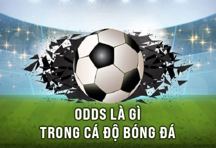 Odds là gì trong cá độ bóng đá