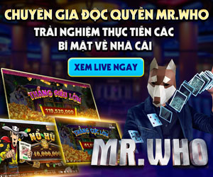 Mr.Who